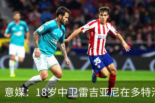 意媒：18岁中卫雷吉亚尼在多特沦为边缘人，AC米兰有意替代加比亚